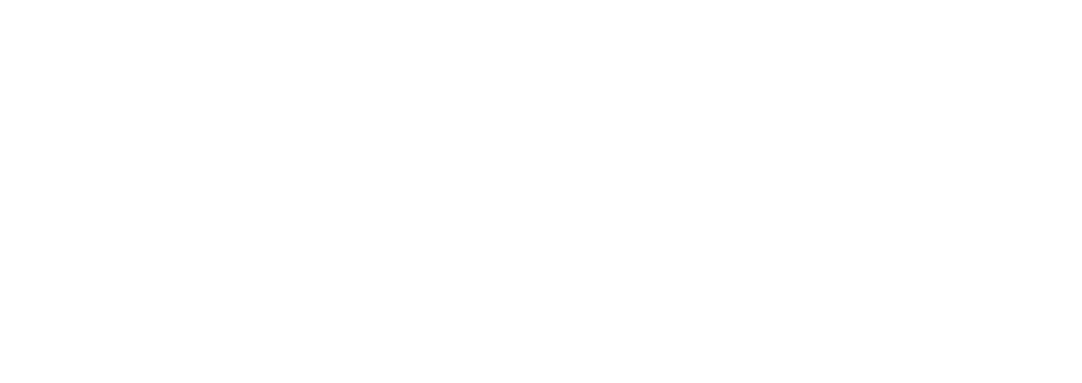 Snapiit Logo